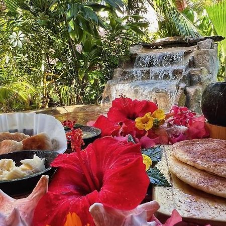 Chalet Tropical Hotel & Restaurant-Pizzeria Las Galeras Dış mekan fotoğraf