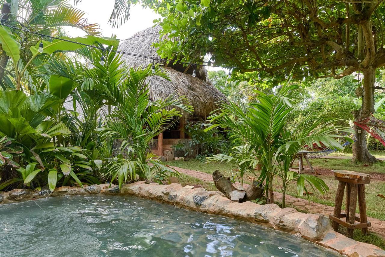Chalet Tropical Hotel & Restaurant-Pizzeria Las Galeras Dış mekan fotoğraf